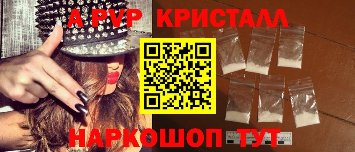 Альфа ПВП СК КРИС  APVP  Аргун  Вход с VPN 