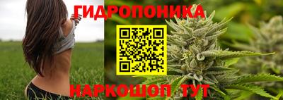 бошки Пушкино