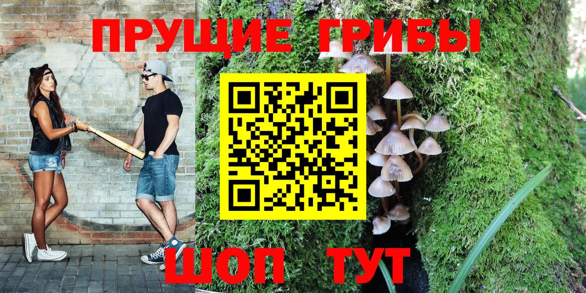 Псилоцибиновые грибы Psilocybine cubensis  Вход с VPN  Псилоцибиновые грибы мухоморы  Аргун 