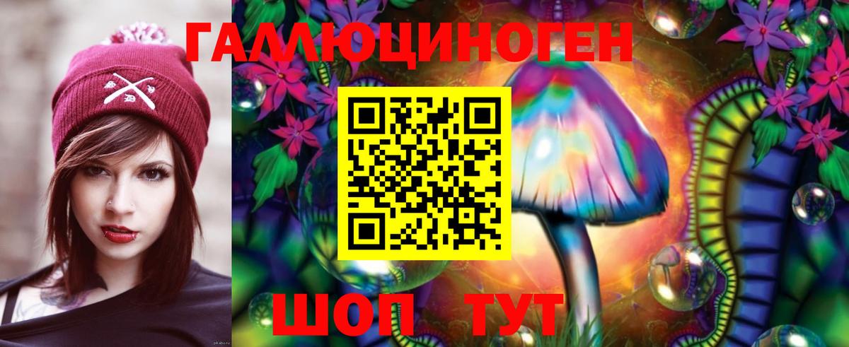 Псилоцибиновые грибы мухоморы Аргун